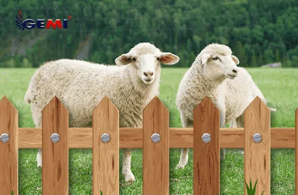 Sheep Net: наистина ли е най-доброто решение?